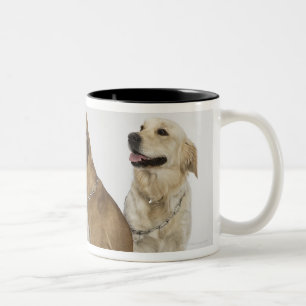 Tasse 2 Couleurs trois chiens regardant tout vers la droite