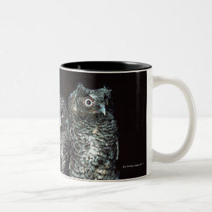 Tasse 2 Couleurs trois hiboux
