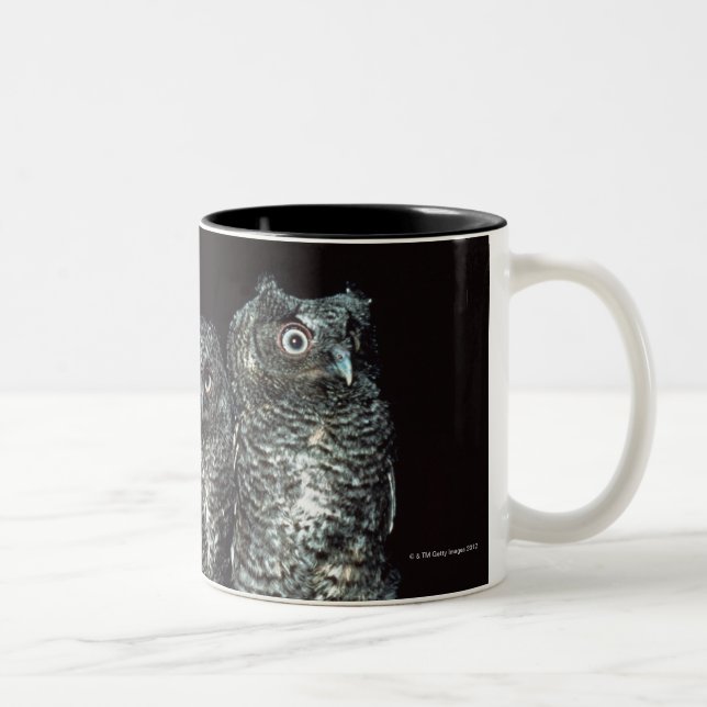 Tasse 2 Couleurs trois hiboux (Droit)