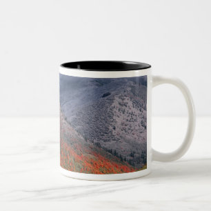 Tasse 2 Couleurs Trois saisons de feuillage, de maples rouges et de