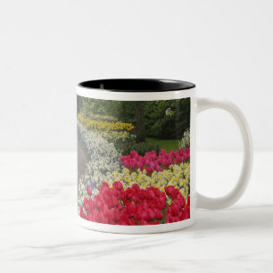 Tasse 2 Couleurs Trottoir à travers les tulipes, les jonquilles et