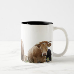 Tasse 2 Couleurs Troupeau de jeunes vaches blanches dans le domaine