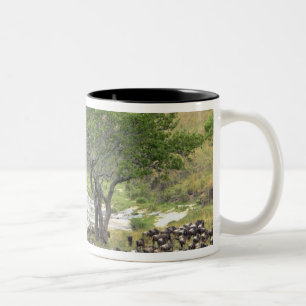 Tasse 2 Couleurs Troupeau massif de gnous pendant la migration,