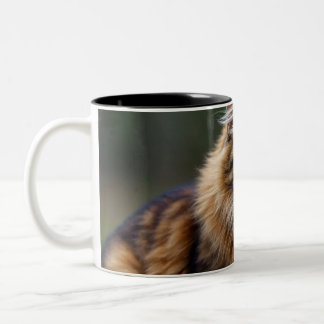 Tasse 2 Couleurs Tu Felin,Amantes de los Gatos