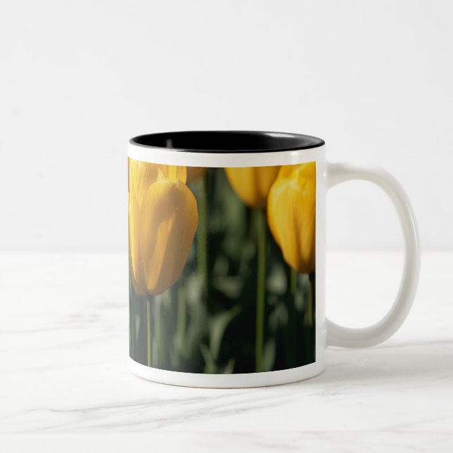 Tasse 2 Couleurs Tulipes 3 (Droit)