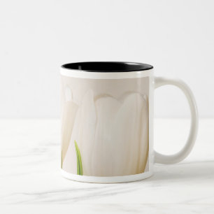 Tasse 2 Couleurs Tulipes blanches sur fond blanc,