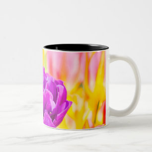 Tasse 2 Couleurs Tulipes Enchanter 15