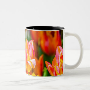 Tasse 2 Couleurs Tulipes Enchanter 17
