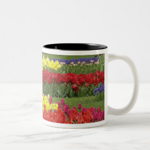Tasse 2 Couleurs Tulipes, Jacinthe des vignes et Jonquilles, 2