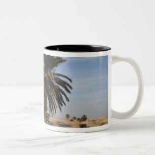 Tasse 2 Couleurs Tunisie, désert du Sahara, Douz, Grande Dune, palm