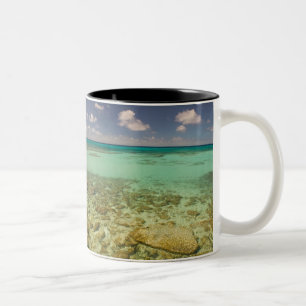 Tasse 2 Couleurs Turks et Caïcos, Grand Turk Island, Cockburn 2