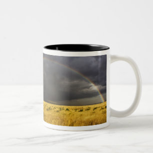 Tasse 2 Couleurs Un arc-en-ciel apparaissant à travers un après-mid