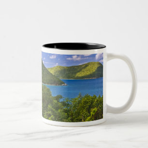 Tasse 2 Couleurs Un arrêt à la sucrerie d'Annaberg, St. John