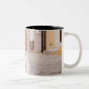 Tasse 2 Couleurs Un chat dans les rues de Burano, Italie.  2006.