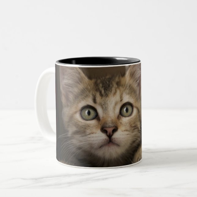 Tasse 2 Couleurs Un chaton tigré très doux (Devant gauche)