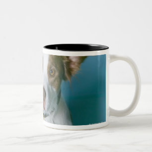Tasse 2 Couleurs Un chien