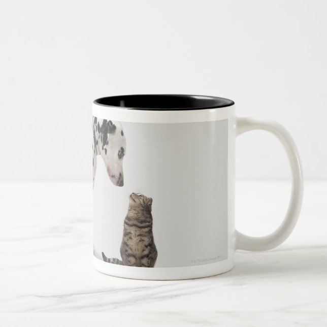 Tasse 2 Couleurs Un chien regardant un chat (Droit)