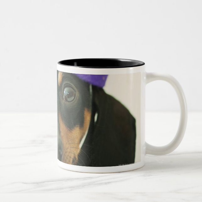 Tasse 2 Couleurs Un chien utilisant un casquette drôle (Droit)
