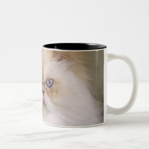 Tasse 2 Couleurs Un fou, renversement, point étendu de flamme de