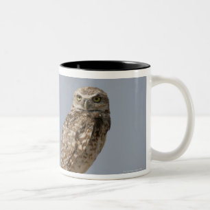 Tasse 2 Couleurs Un hibou creusant se reposant sur un courrier de
