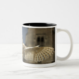 Tasse 2 Couleurs Un hibou de grange (Tyto alba) dans un cimetière