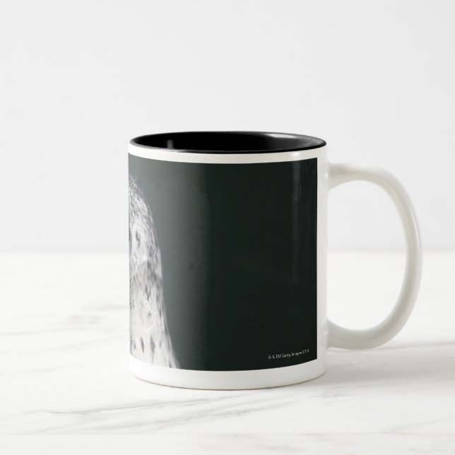 Tasse 2 Couleurs Un joint de port (Droit)