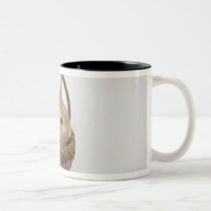 Tasse 2 Couleurs Un lapin est dans un panier. Nain de Netherland