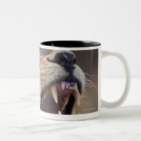 Un lion masculin mûr (Panthera Lion) dans le