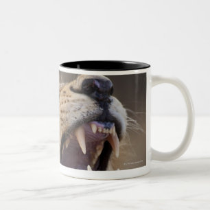 Tasse 2 Couleurs Un lion masculin mûr (Panthera Lion) dans le