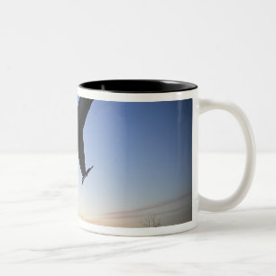 Tasse 2 Couleurs Un modèle d'échelle d'un faucon de combat de F-1