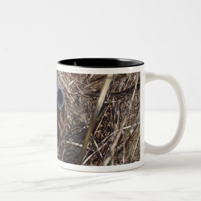 Tasse 2 Couleurs Un observateur de scouts pratique la technique d'o (Droit)