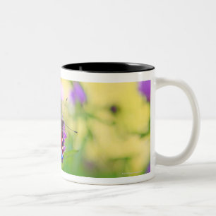 Tasse 2 Couleurs Un papillon de paon brillamment coloré est