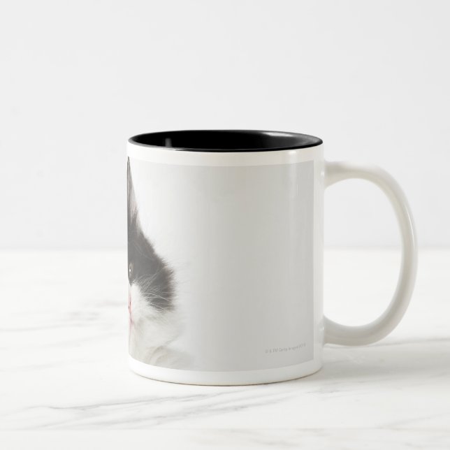 Tasse 2 Couleurs Un regard se reposant de jeune chaton dans (Droit)