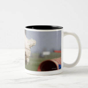 Tasse 2 Couleurs Un Waterdog portugais sautant par-dessus un