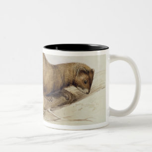 Tasse 2 Couleurs Une belette, 1832 (la semaine, ove de stylo,