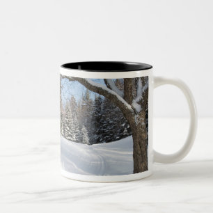 Tasse 2 Couleurs Une scène neigeuse au peu d'étang de Lyford d'AM