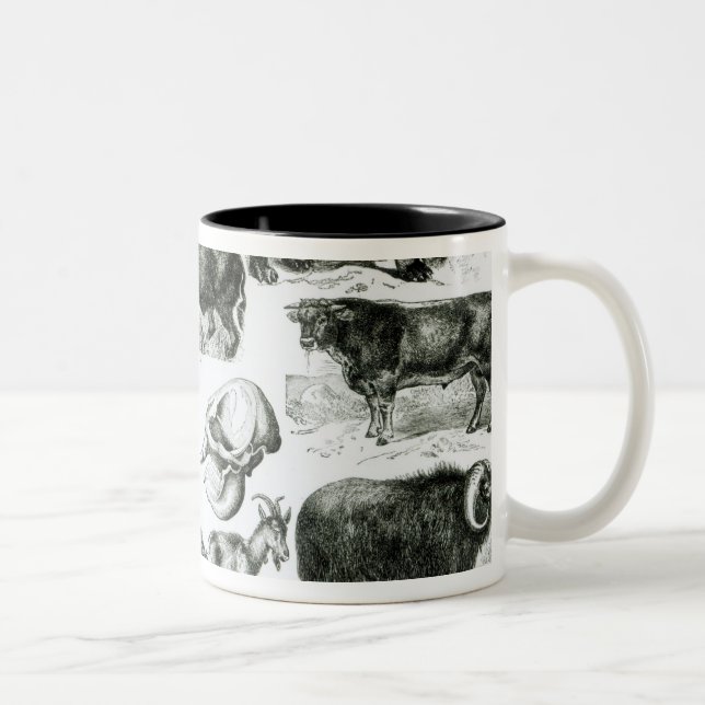 Tasse 2 Couleurs Ungulata ou animaux à sabots (Droit)