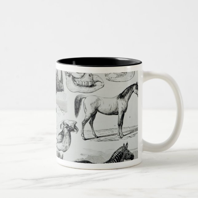 Tasse 2 Couleurs Ungulata ou animaux à sabots (Droit)