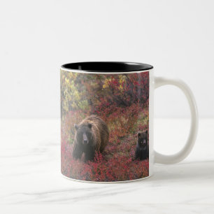 Tasse 2 Couleurs USA, Alaska, Denali National Park. Ours grizzli