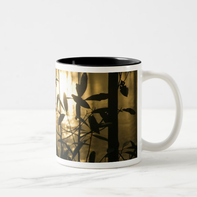 Tasse 2 Couleurs USA, Géorgie, Callaway Gardens, Sunrise (Droit)