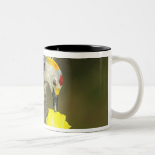 Tasse 2 Couleurs USA, Texas, Rio Grande Valley, McAllen. Homme