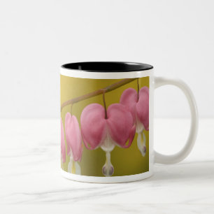 Tasse 2 Couleurs USA, Virginie, Arlington, fermeture rose