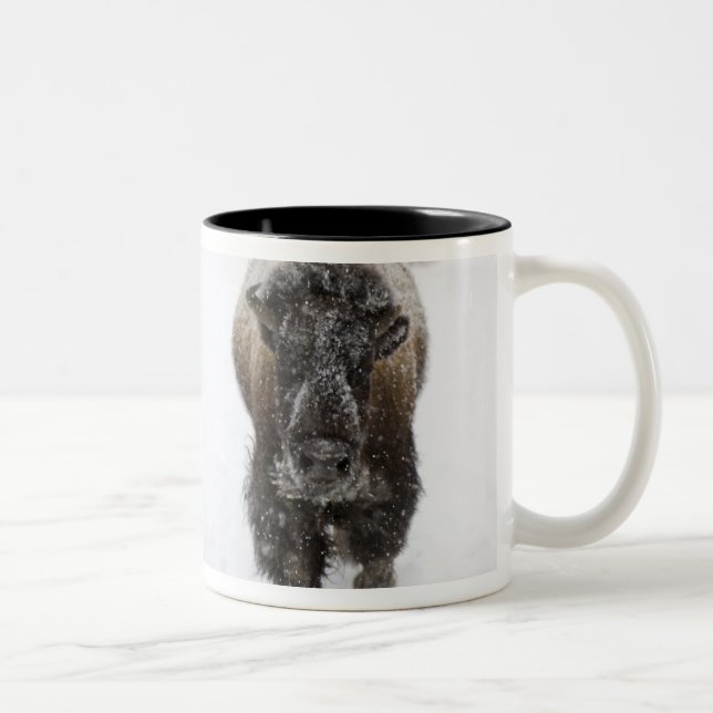 Tasse 2 Couleurs USA, WY, Yellowstone NP, Bison américain (Droit)