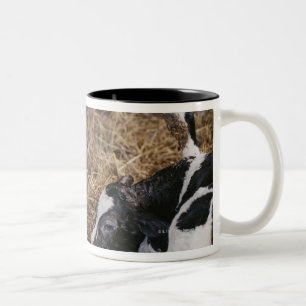 Tasse 2 Couleurs Vache et veau en foin