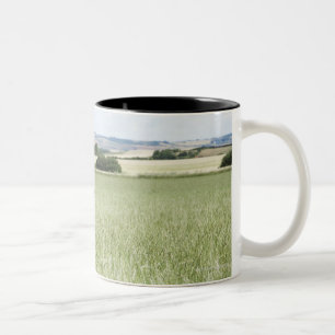 Tasse 2 Couleurs Vache frôlant dans le pré