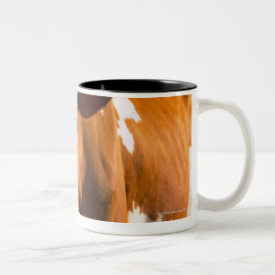 Tasse 2 Couleurs Vaches à la ferme