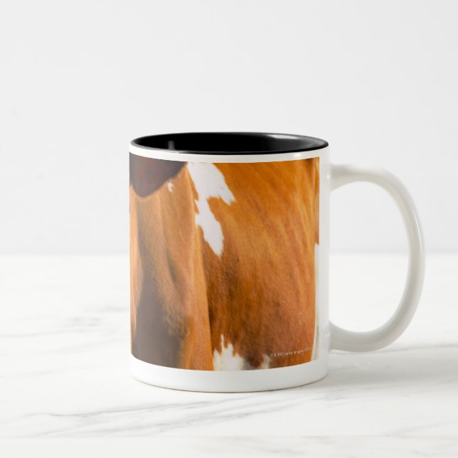 Tasse 2 Couleurs Vaches à la ferme (Droit)