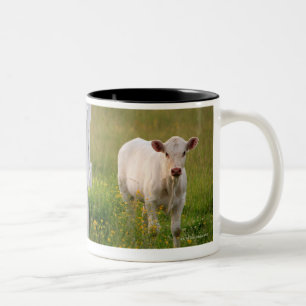 Tasse 2 Couleurs Vaches dans le domaine
