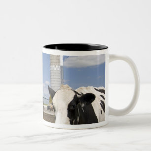 Tasse 2 Couleurs Vaches devant une grange rouge et un silo dans une