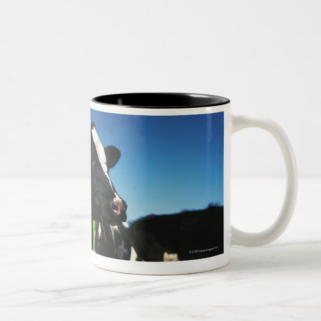 Tasse 2 Couleurs Vaches du Holstein dans un domaine (Droit)